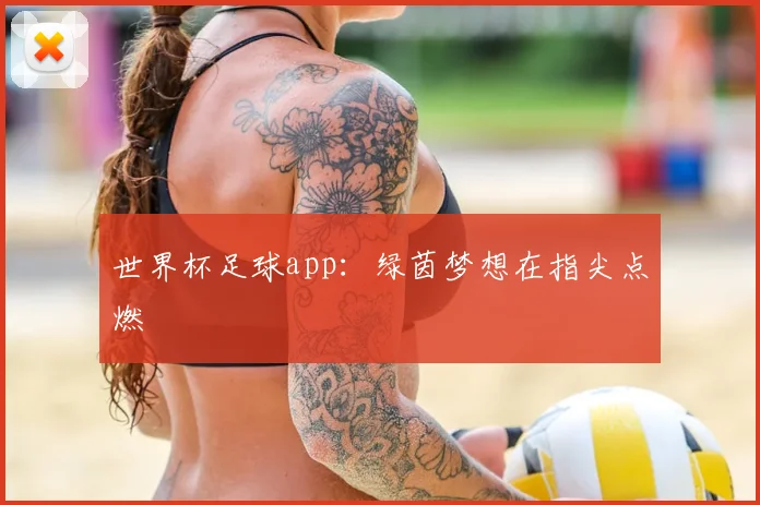 世界杯足球app：绿茵梦想在指尖点燃