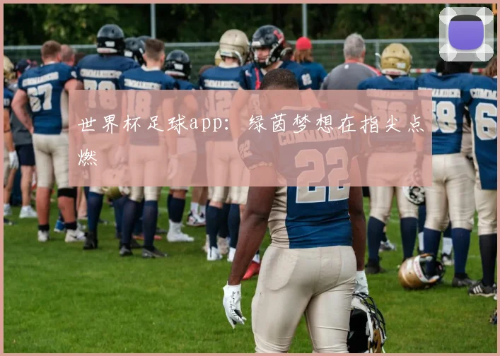 世界杯足球app：绿茵梦想在指尖点燃