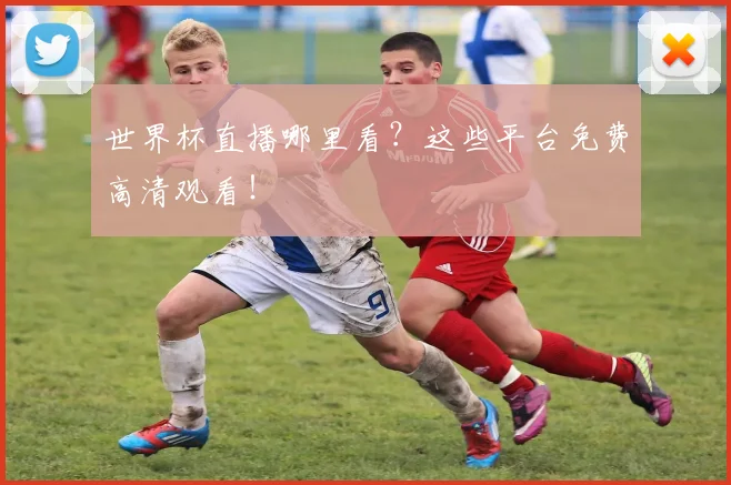 世界杯直播哪里看？这些平台免费高清观看！
