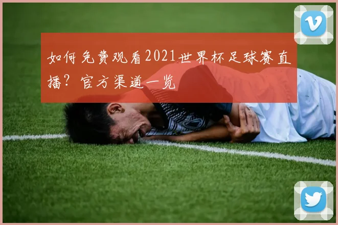 如何免费观看2021世界杯足球赛直播?官方渠道一览