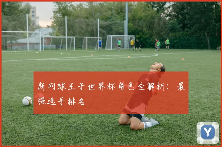 新网球王子世界杯角色全解析:最强选手排名