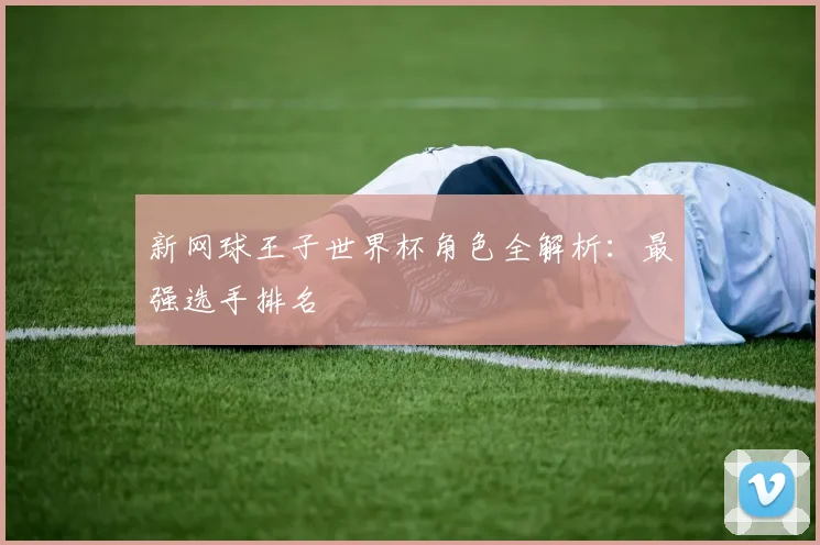 新网球王子世界杯角色全解析:最强选手排名
