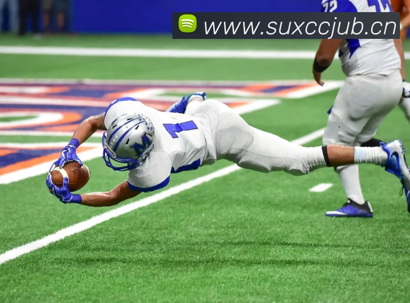 星空平台发展历程